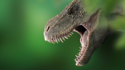 Tyrannosaurus rex
