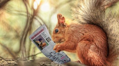 En ekorre som läser en liten tidning.